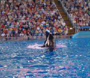 seaworld0.jpg