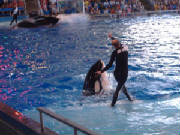 seaworld16.jpg