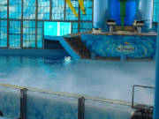 seaworld2.jpg