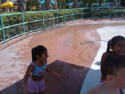 seaworld26.jpg