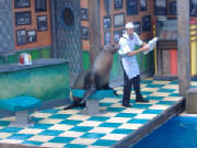 seaworld43.jpg