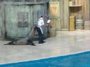 seaworld45.jpg