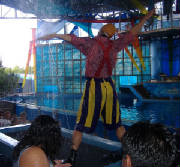 seaworld5.jpg