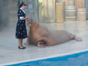 seaworld50.jpg