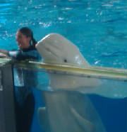 seaworld7.jpg